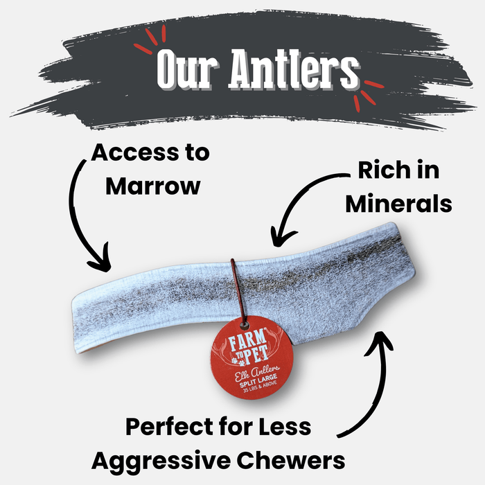 Farm to Pet All-Natural Whole and Split Elk Antler Dog Chews