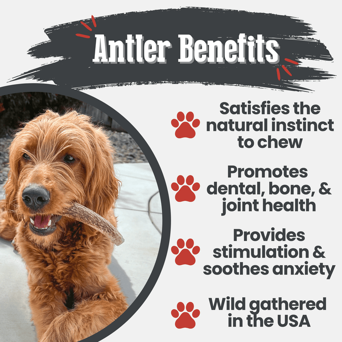 Farm to Pet All-Natural Whole and Split Elk Antler Dog Chews