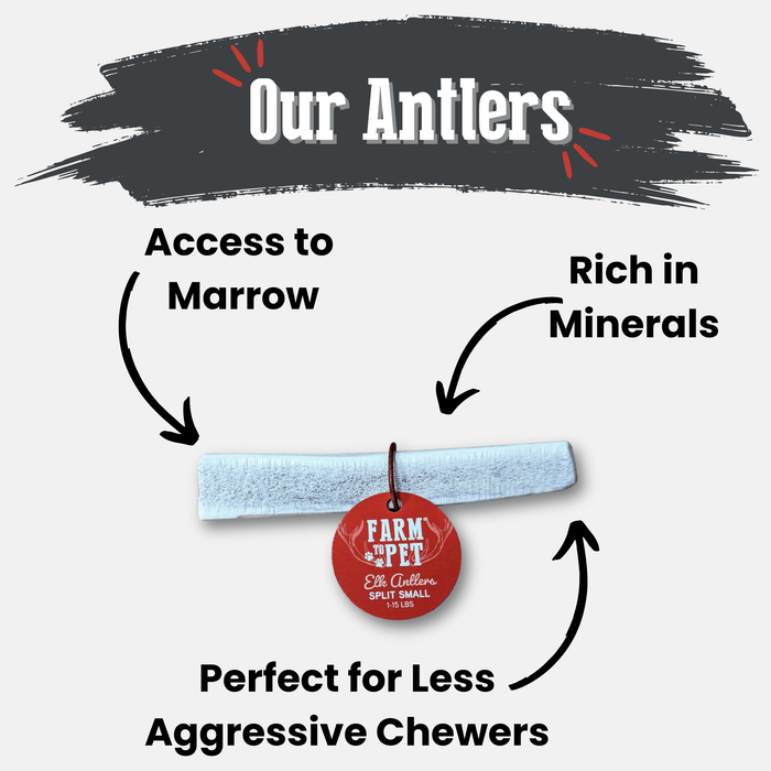 Farm to Pet All-Natural Whole and Split Elk Antler Dog Chews