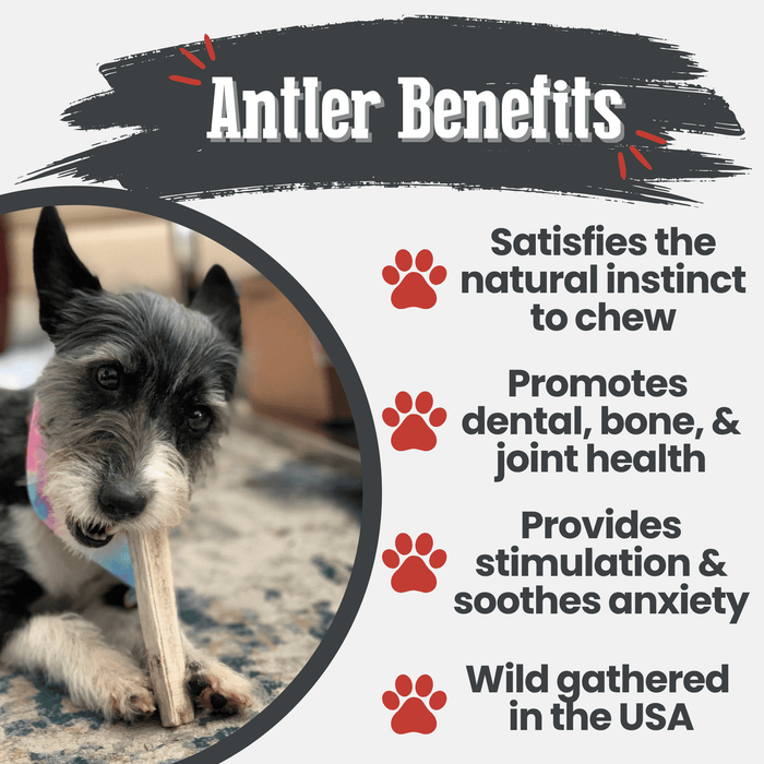 Farm to Pet All-Natural Whole and Split Elk Antler Dog Chews