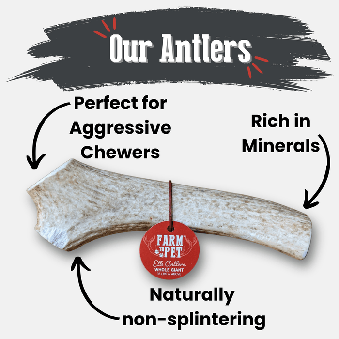 Farm to Pet All-Natural Whole and Split Elk Antler Dog Chews