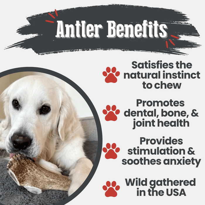 Farm to Pet All-Natural Whole and Split Elk Antler Dog Chews