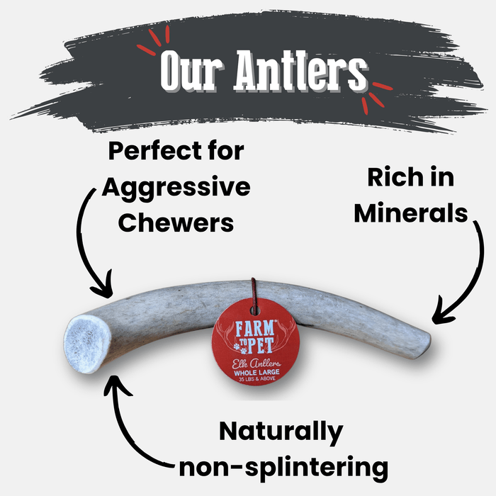 Farm to Pet All-Natural Whole and Split Elk Antler Dog Chews