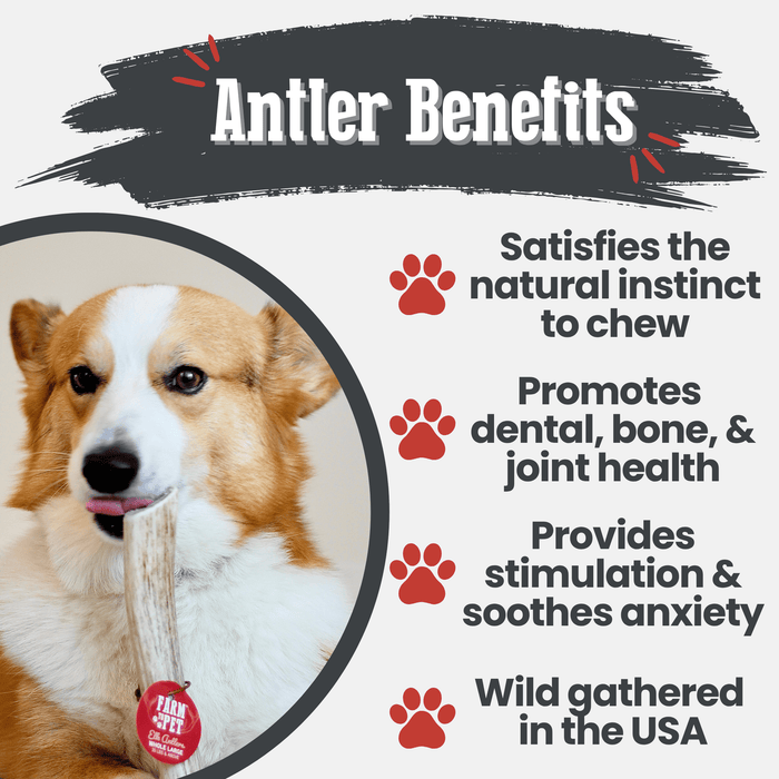 Farm to Pet All-Natural Whole and Split Elk Antler Dog Chews