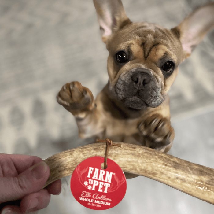 Farm to Pet All-Natural Whole and Split Elk Antler Dog Chews