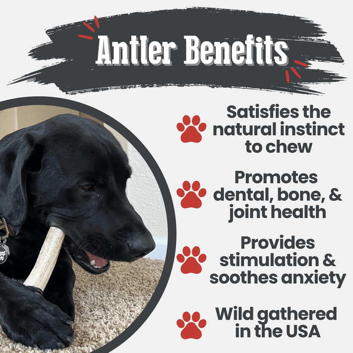 Farm to Pet All-Natural Whole and Split Elk Antler Dog Chews