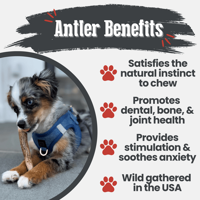 Farm to Pet All-Natural Whole and Split Elk Antler Dog Chews