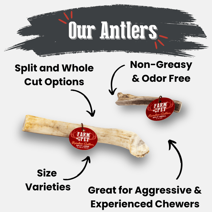Farm to Pet Reindeer Antler Organic Dog Chews
