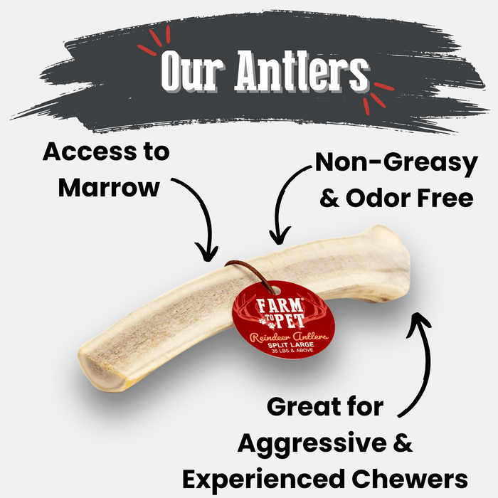 Farm to Pet Reindeer Antler Organic Dog Chews