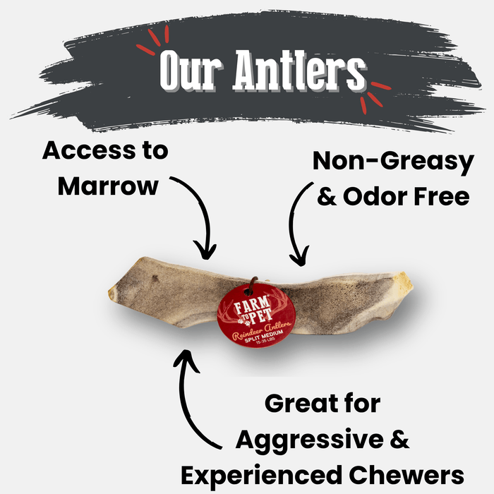 Farm to Pet Reindeer Antler Organic Dog Chews