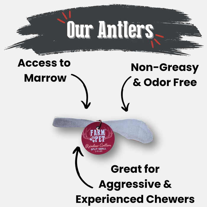 Farm to Pet Reindeer Antler Organic Dog Chews