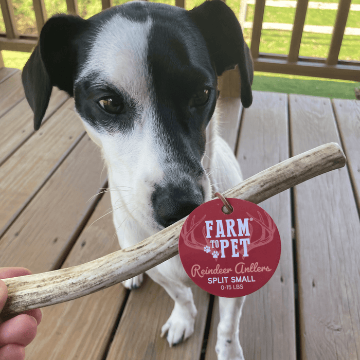 Farm to Pet Reindeer Antler Organic Dog Chews
