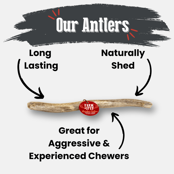 Farm to Pet Reindeer Antler Organic Dog Chews