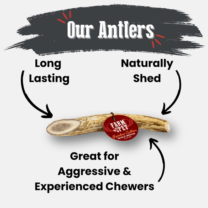 Farm to Pet Reindeer Antler Organic Dog Chews