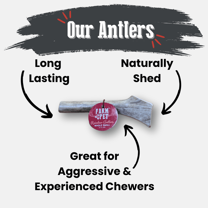 Farm to Pet Reindeer Antler Organic Dog Chews