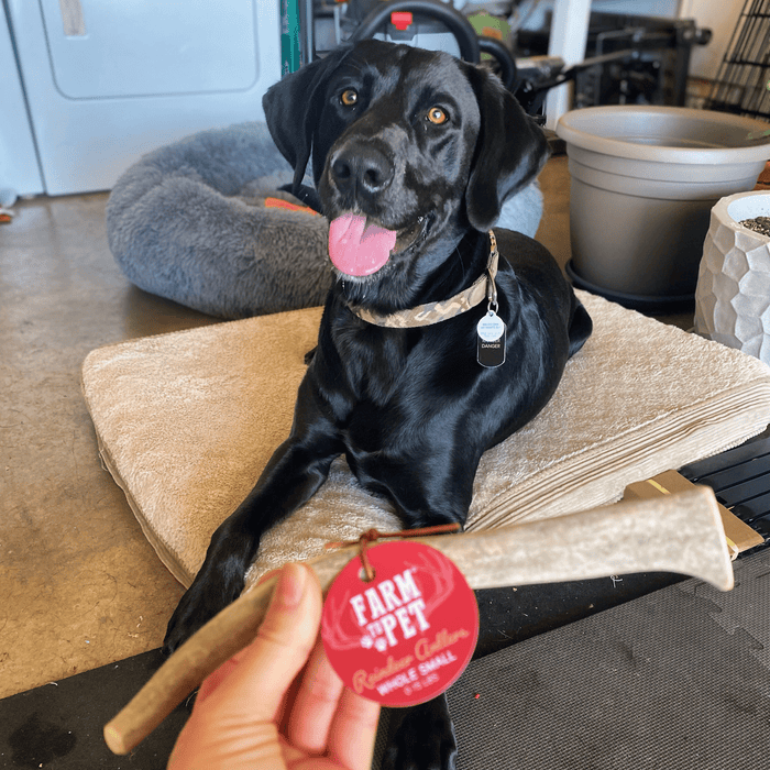 Farm to Pet Reindeer Antler Organic Dog Chews