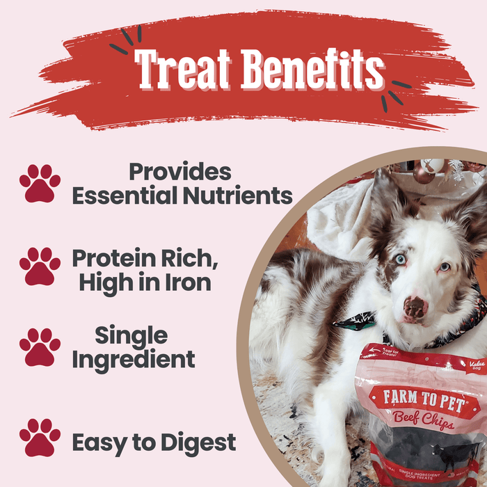 Farm to Pet Beef Chips Single-Ingredient Healthy Dog Treats
