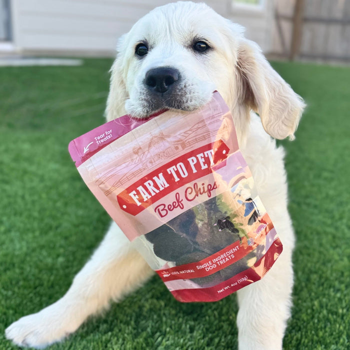 Farm to Pet Beef Chips Single-Ingredient Healthy Dog Treats