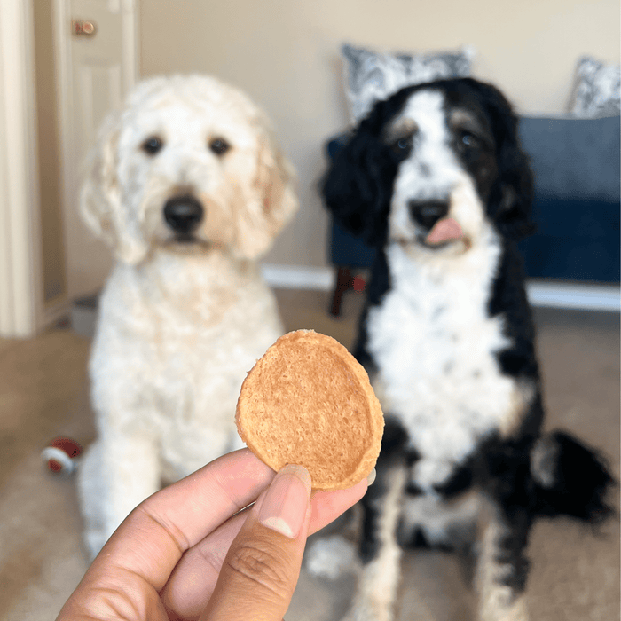 Farm to Pet Chicken Chips All-Natural Single-Ingredient Dog Treats