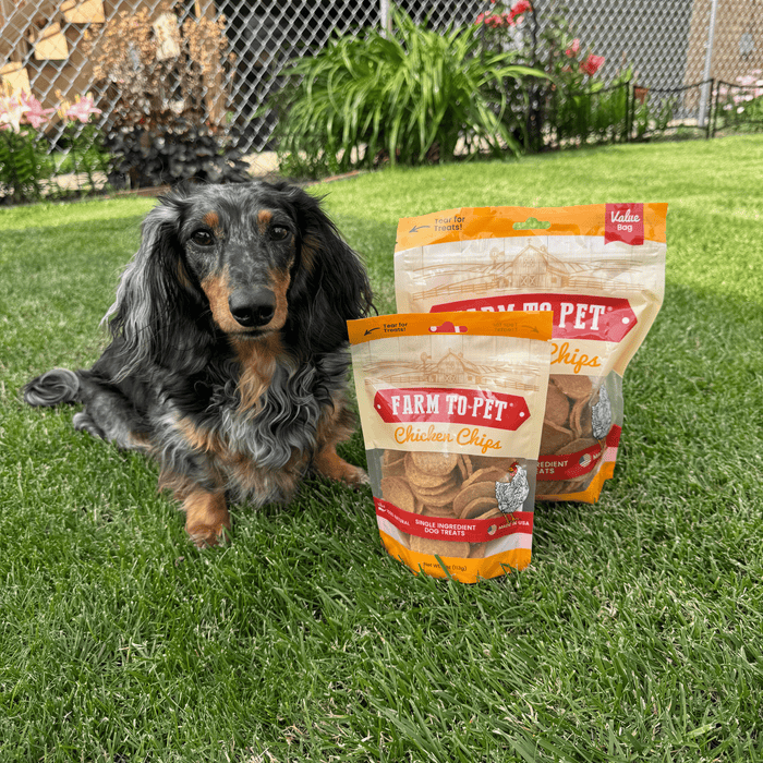 Farm to Pet Chicken Chips All-Natural Single-Ingredient Dog Treats