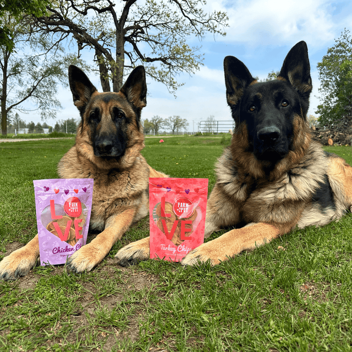 Farm to Pet Poultry Chip Puppy Love Dog Treat Duo