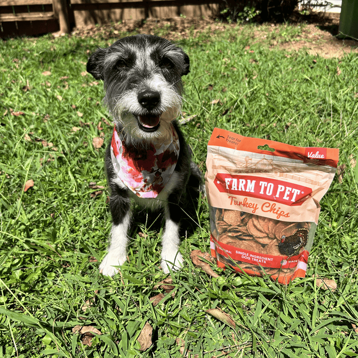 Farm to Pet All-Natural Single-Ingredient Turkey Chips Dog Treats