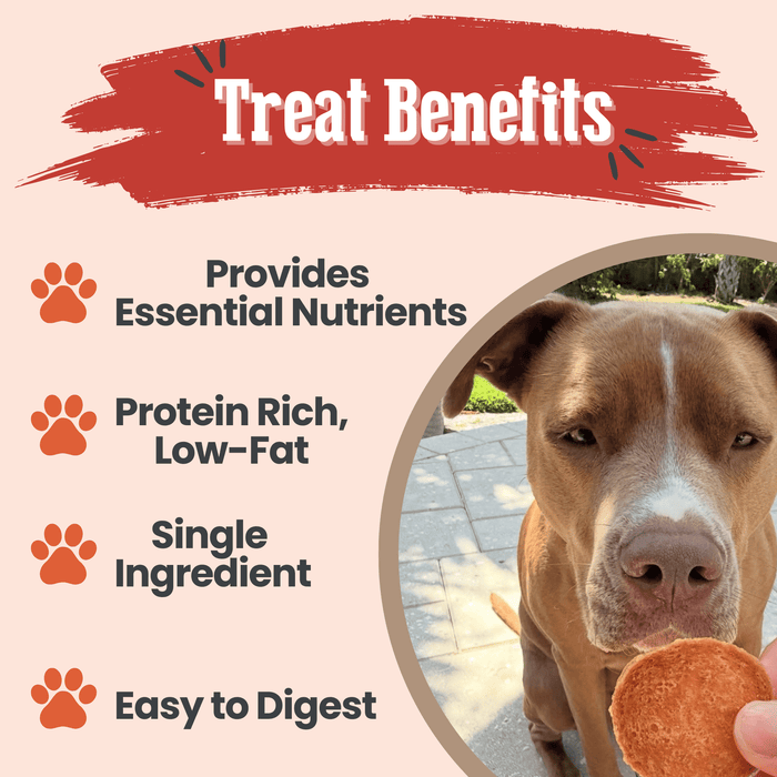 Farm to Pet All-Natural Single-Ingredient Turkey Chips Dog Treats