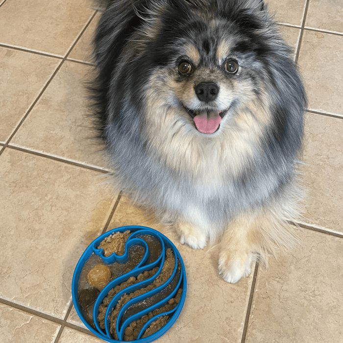 Farm To Pet Slow Feeder Dog Bowls
