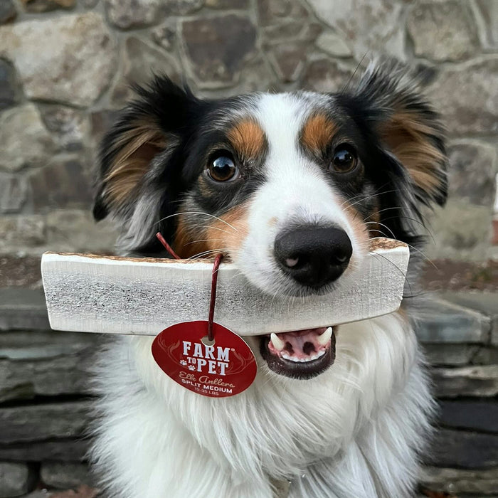 Farm to Pet All-Natural Whole and Split Elk Antler Dog Chews
