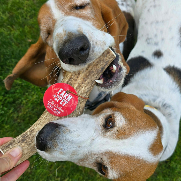 Farm to Pet All-Natural Whole and Split Elk Antler Dog Chews