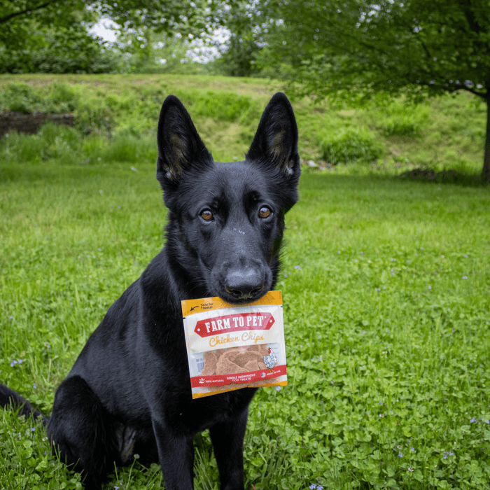 Farm to Pet Chicken Chips Snack Pack Training Dog Treats Bundles