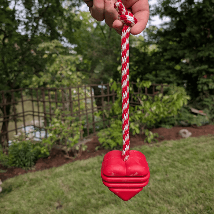 Farm To Pet Chew Toys