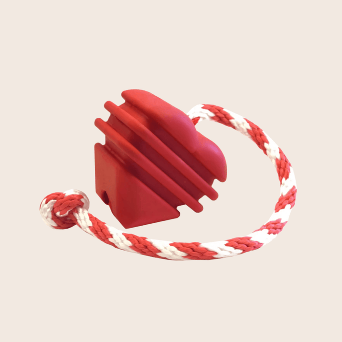 Farm To Pet Chew Toys