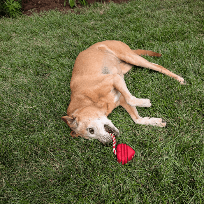 Farm To Pet Chew Toys