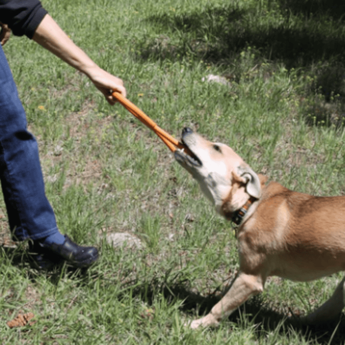 Farm To Pet Chew Toys