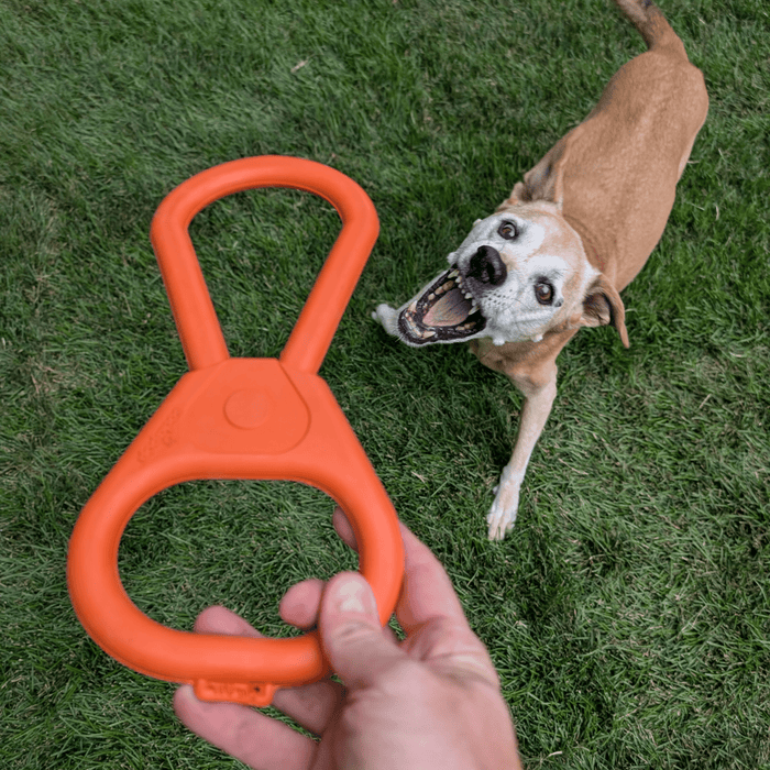Farm To Pet Chew Toys