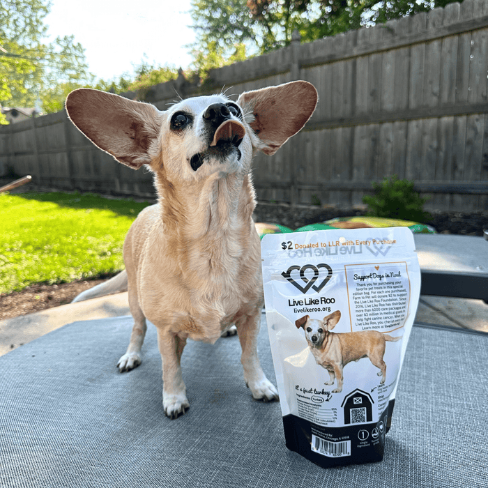 Farm to Pet Live Like Roo Turkey Chips Dog Treats