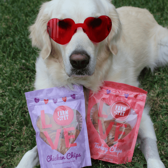 Farm to Pet Poultry Chip Puppy Love Dog Treat Duo