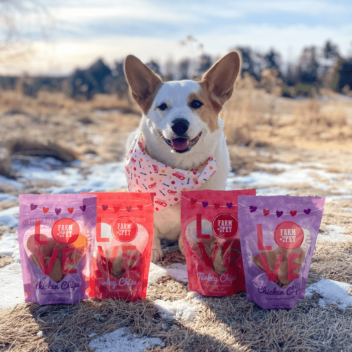 Farm to Pet Poultry Chip Puppy Love Dog Treat Duo