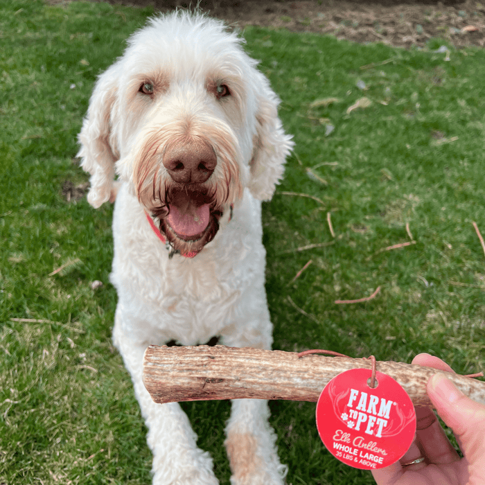 Farm to Pet All-Natural Whole and Split Elk Antler Dog Chews