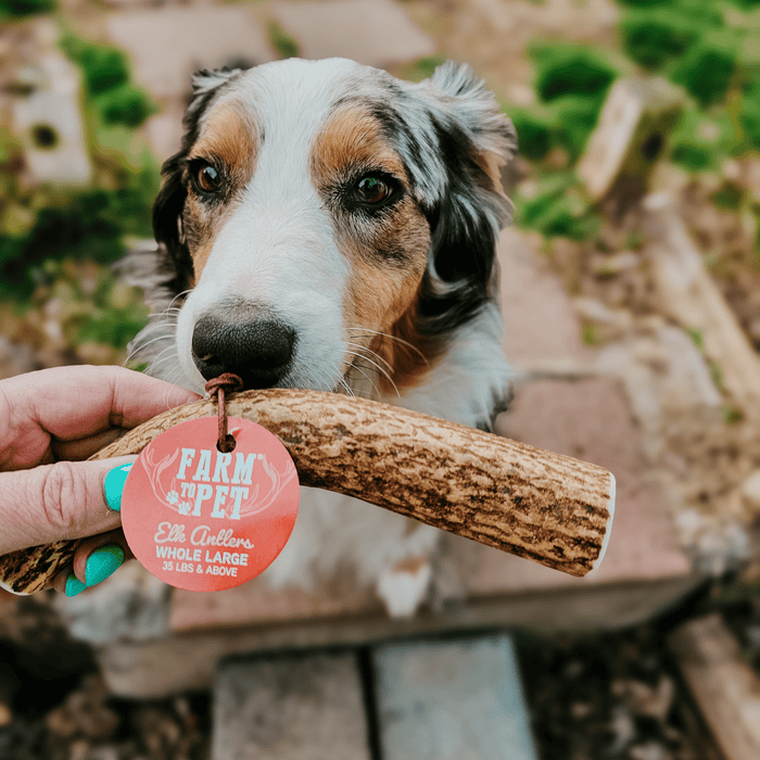 Farm to Pet All-Natural Whole and Split Elk Antler Dog Chews