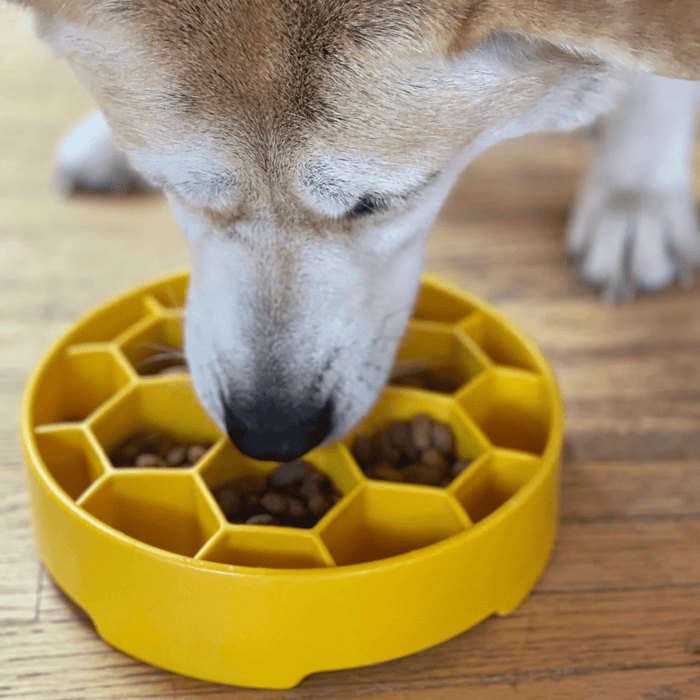 Farm To Pet Slow Feeder Dog Bowls