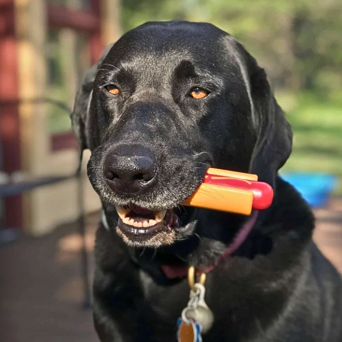 Farm To Pet Chew Toys