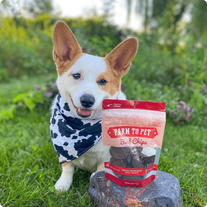 Farm to Pet Beef Chips Single-Ingredient Healthy Dog Treats