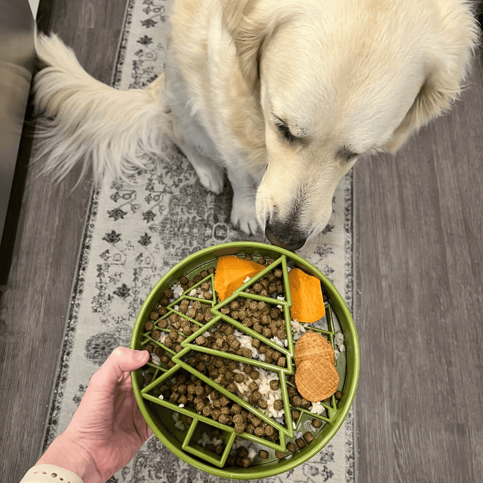 Farm To Pet Slow Feeder Dog Bowls