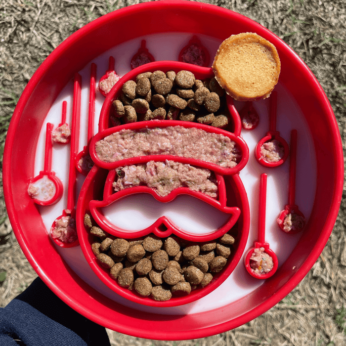 Farm To Pet Slow Feeder Dog Bowls