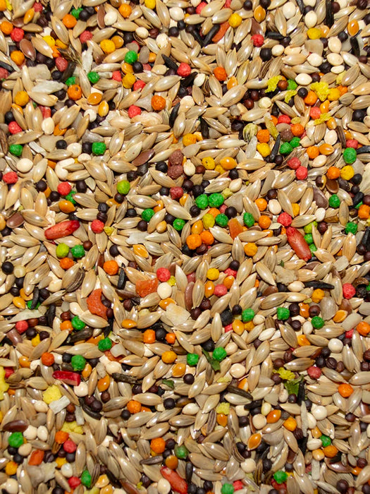 Volkman Seed Company Featherglow Canary & Finch Treat 20 lb