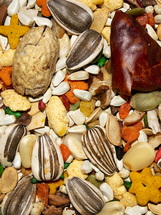 Volkman Seed Company Featherglow Large Parrot Treat 20 lb