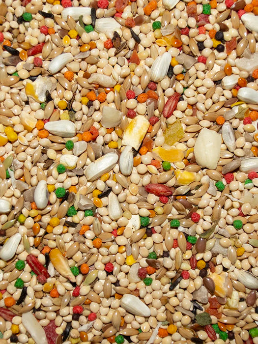 Volkman Seed Company Featherglow Parakeet Treat 4lb
