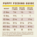 Primal Pet Foods Puppy Formula Freeze-Dried Pronto Dog Food - 8 - Image 12